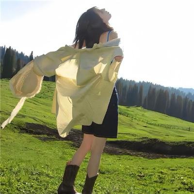 特洛伊：木马屠城记